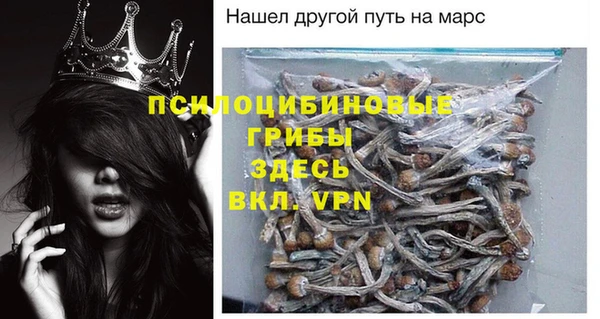 прущая мука Абаза
